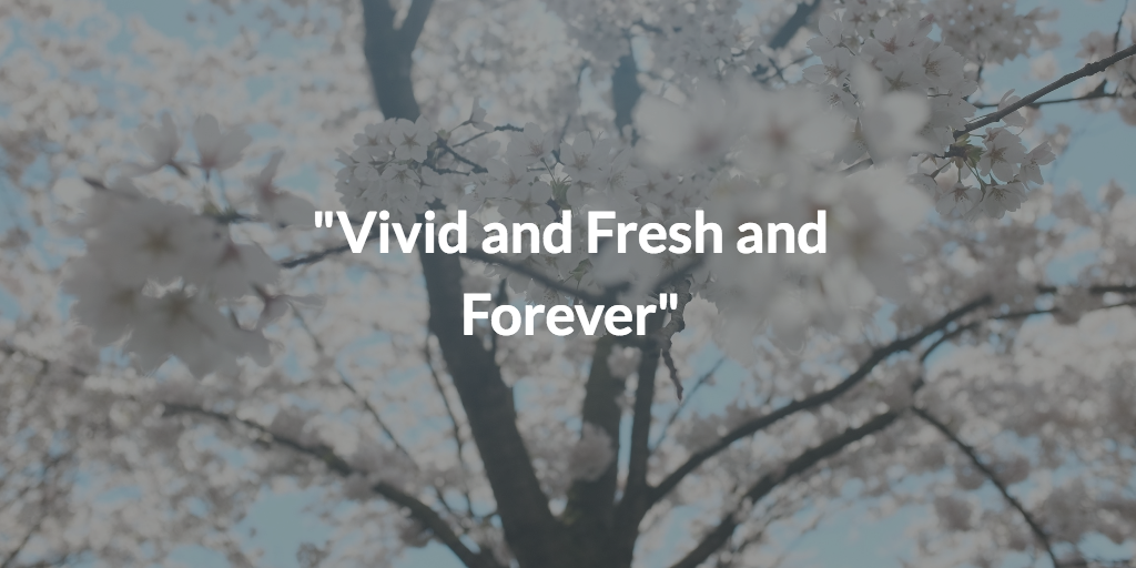 vivid and fresh and forever