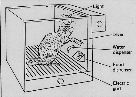 A diagram of a Skinner Box