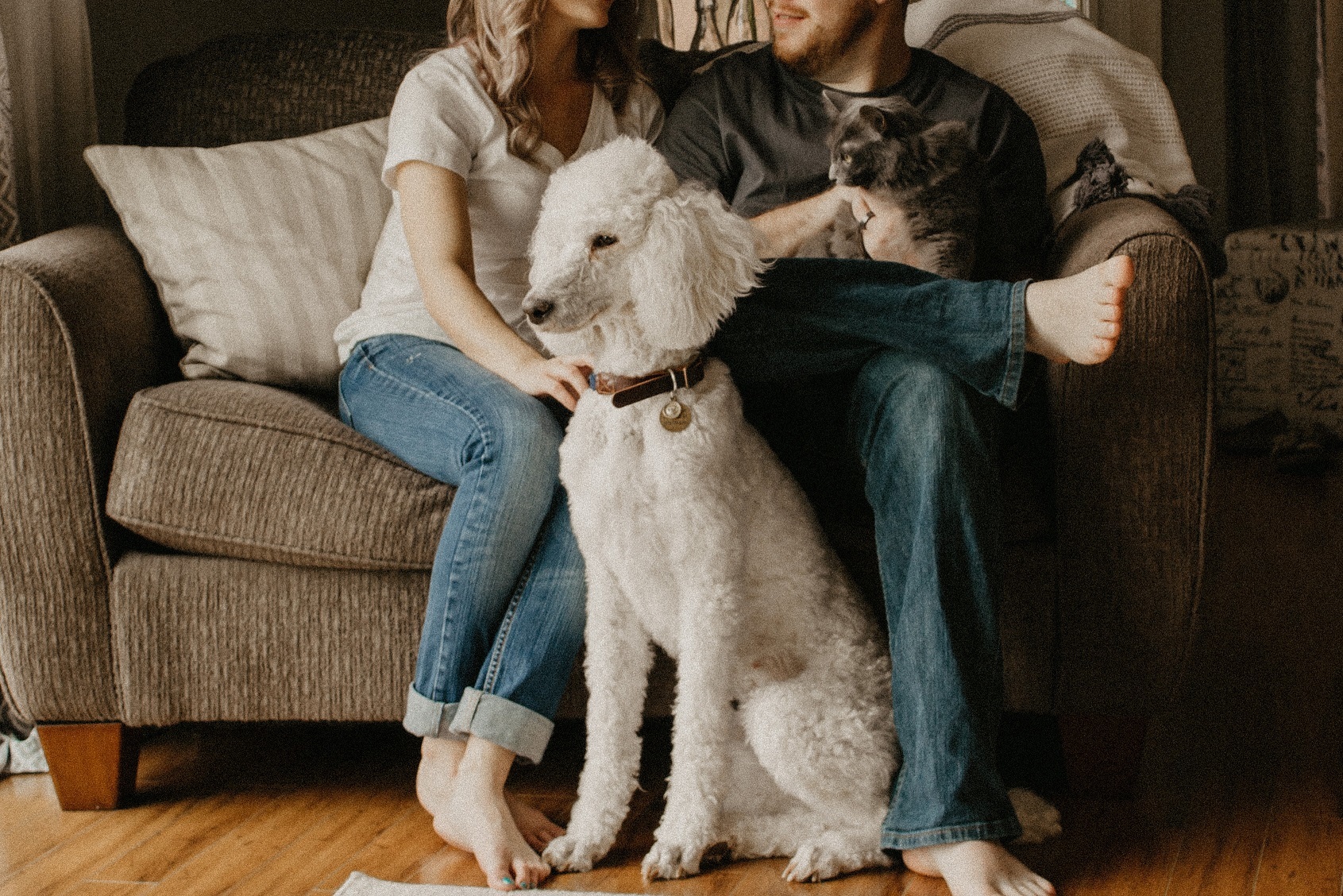 family with dog and cat