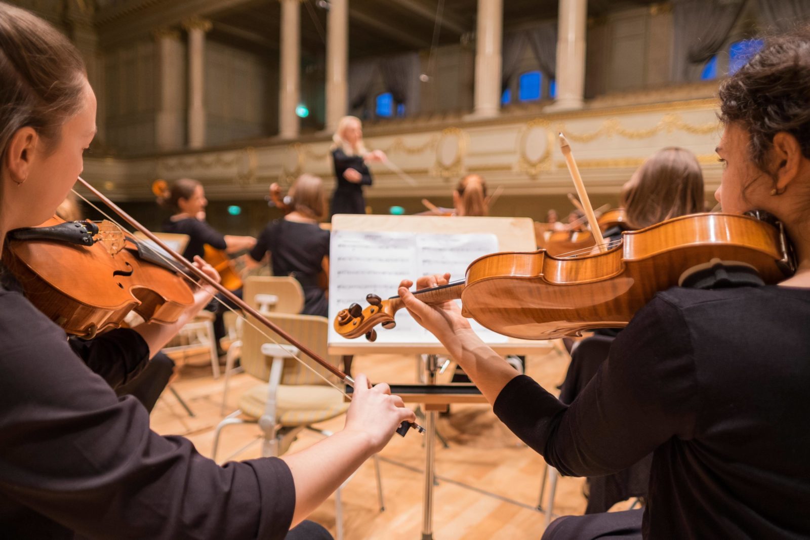Orchestra musicians