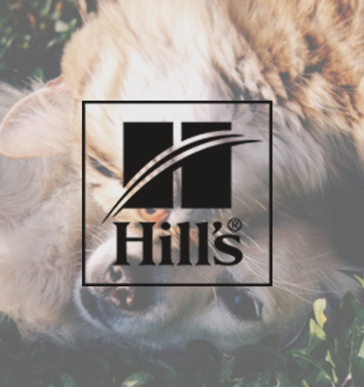How Hill’s Pet Nutrition Outranked the Competition with SEO